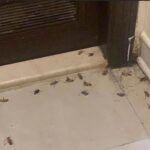 0276dff1-bcb7-4a28-b570-c68b11562af5