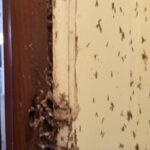 31dba0bd-b7be-4327-8f23-0d35537cfbce